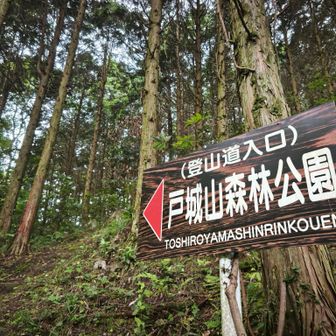 低山の戸城山▲へ〜🥾