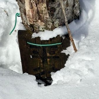 取立山 平谷ノ頭