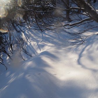 ノートレースの雪道
ツボ足だと膝上まで沈むので途中で断念