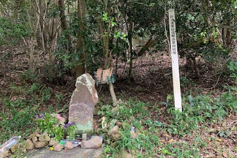 5. 山中渓から雄ノ山峠越え（熊野古道）の写真
