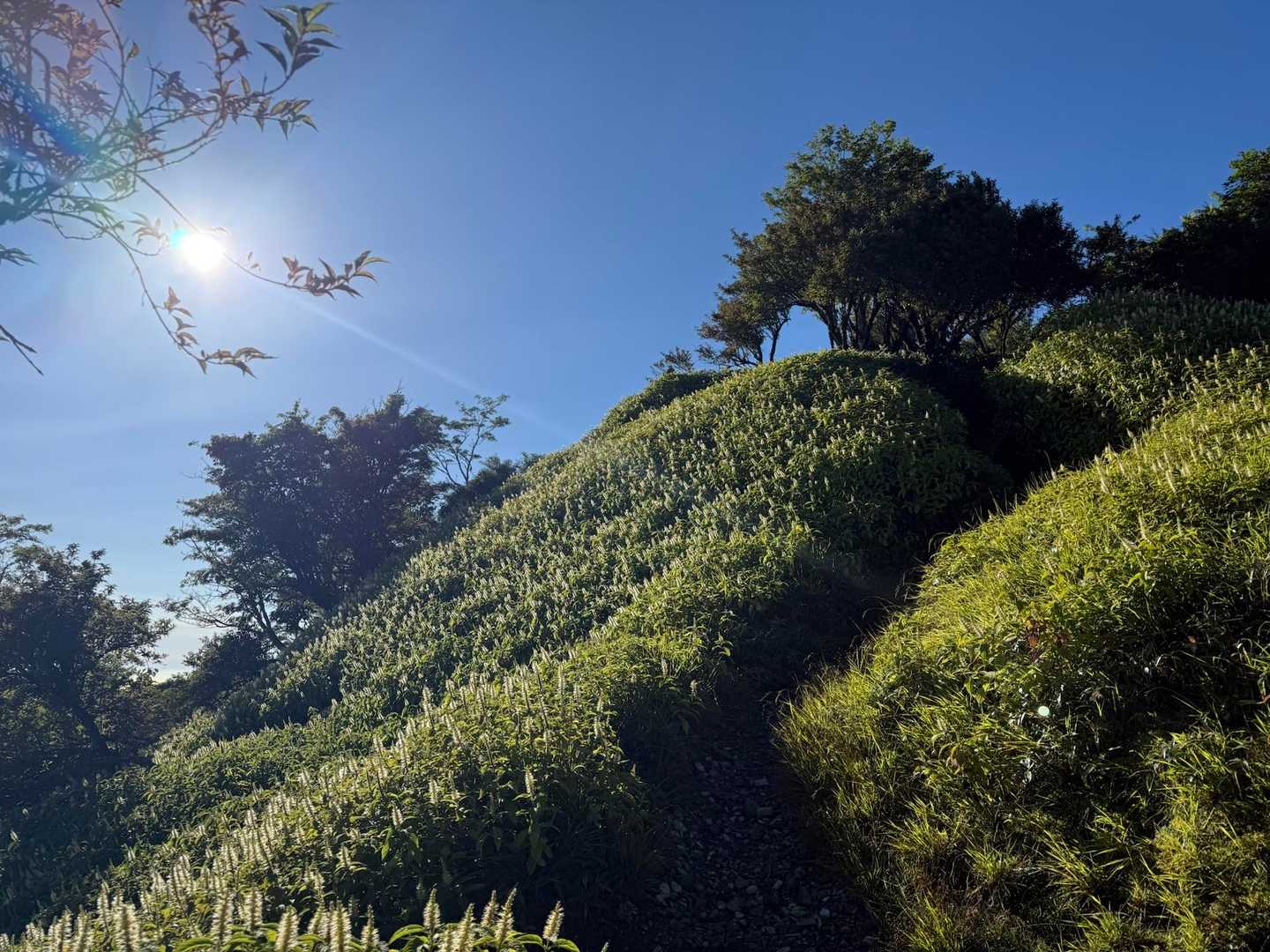 見ノ越登山口-剣山 往復コースの写真
