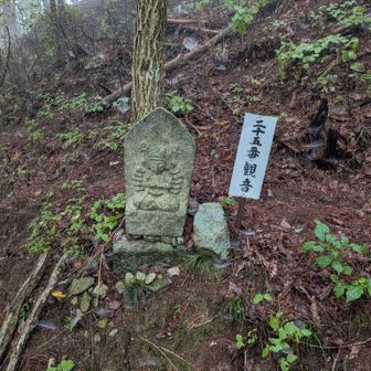 観音様がいくつも祀られてました。