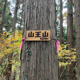 今回はお初ルート、静かなシングルトラックです