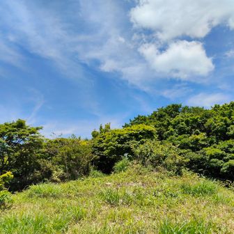 展望所を振り返る
ここも羽虫🪰多く落ちついて休めない😩
以前はベンチなどあったが 今はなくなっている