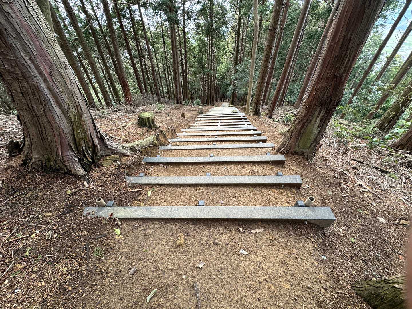 下りは白山神社方面に降りて帰ります
こちらの登山道は階段が多め