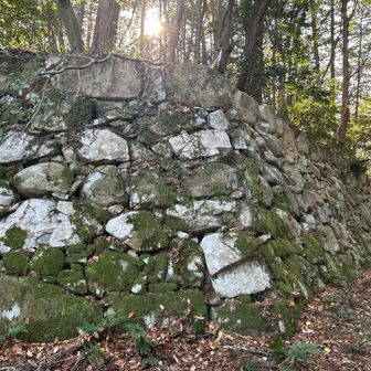 三の丸の石垣