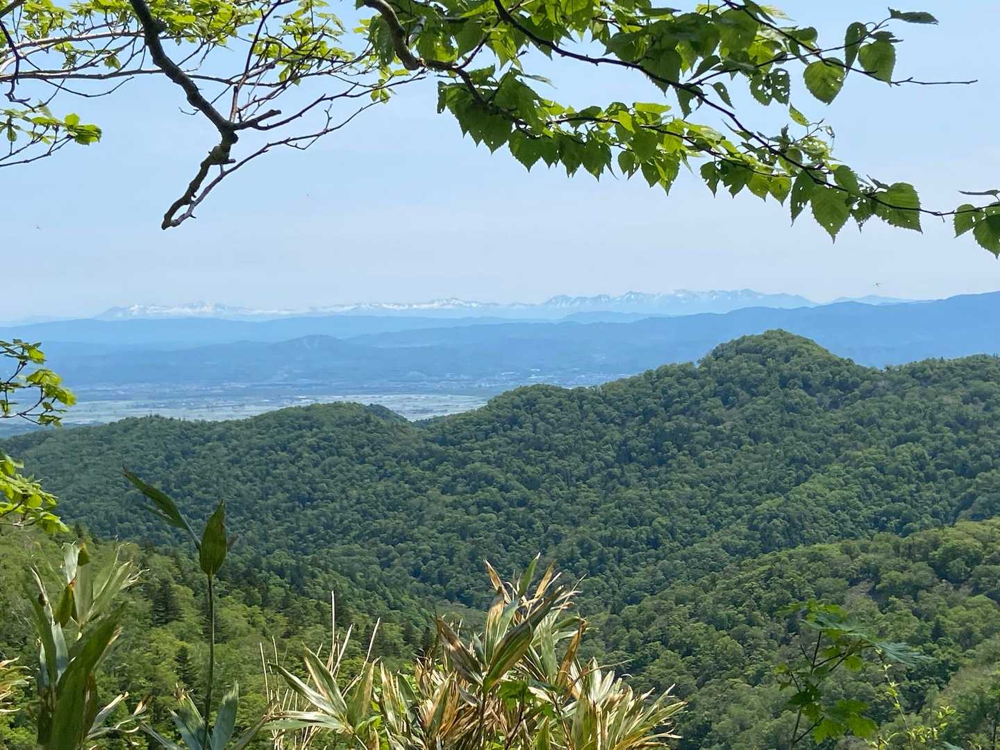 開けて景色見えた✨