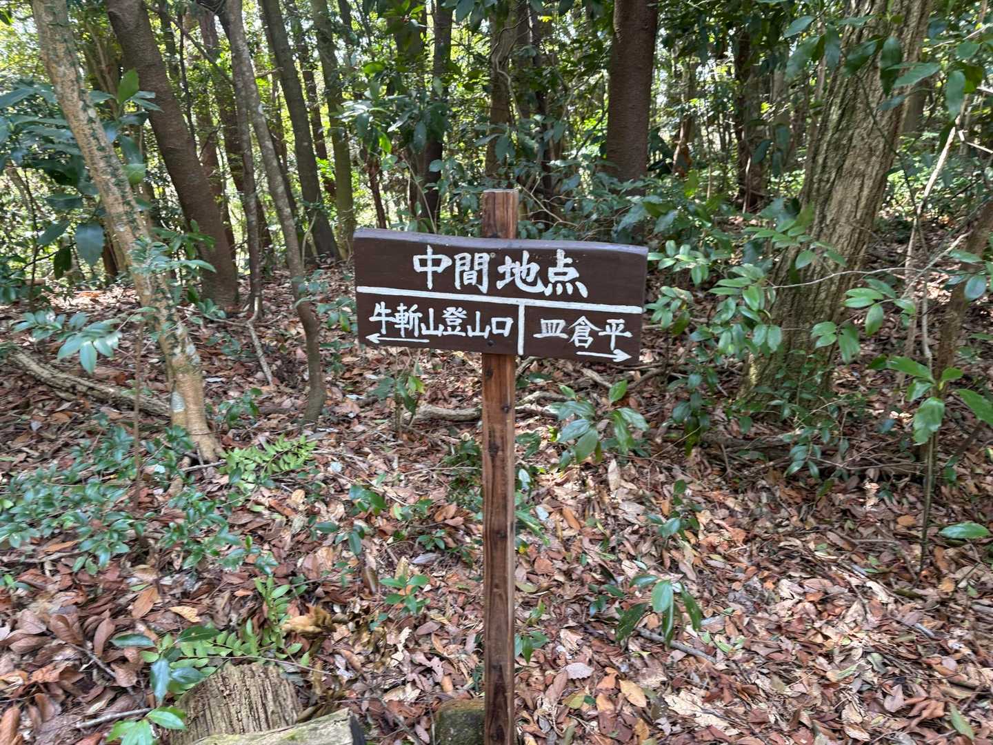 中間地点
まだまだ先は長いぞ〜🤣
尺平から市ノ瀬峠までが、また遠い💦遠い〜🤣
