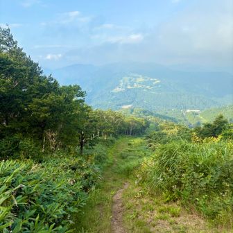ゲレンデトップから振り返ったらいい景色！