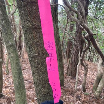 宝来山も行っときます！
どっちかわからなかったけどピンクテープに書いてありました。