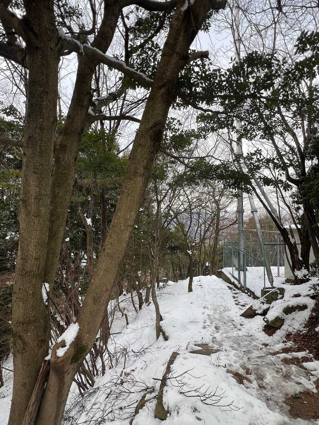 あゝ〜鼻水が自然と＂スゥーっと＂垂れてきます（笑）