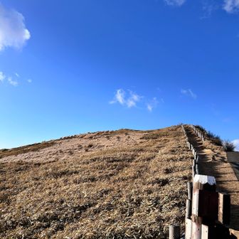 次回はここからスタート。
なんでしょ。この天国への階段みたいなの。
金柑山、達磨山までは行ったことあるから稜線繋げたい。
