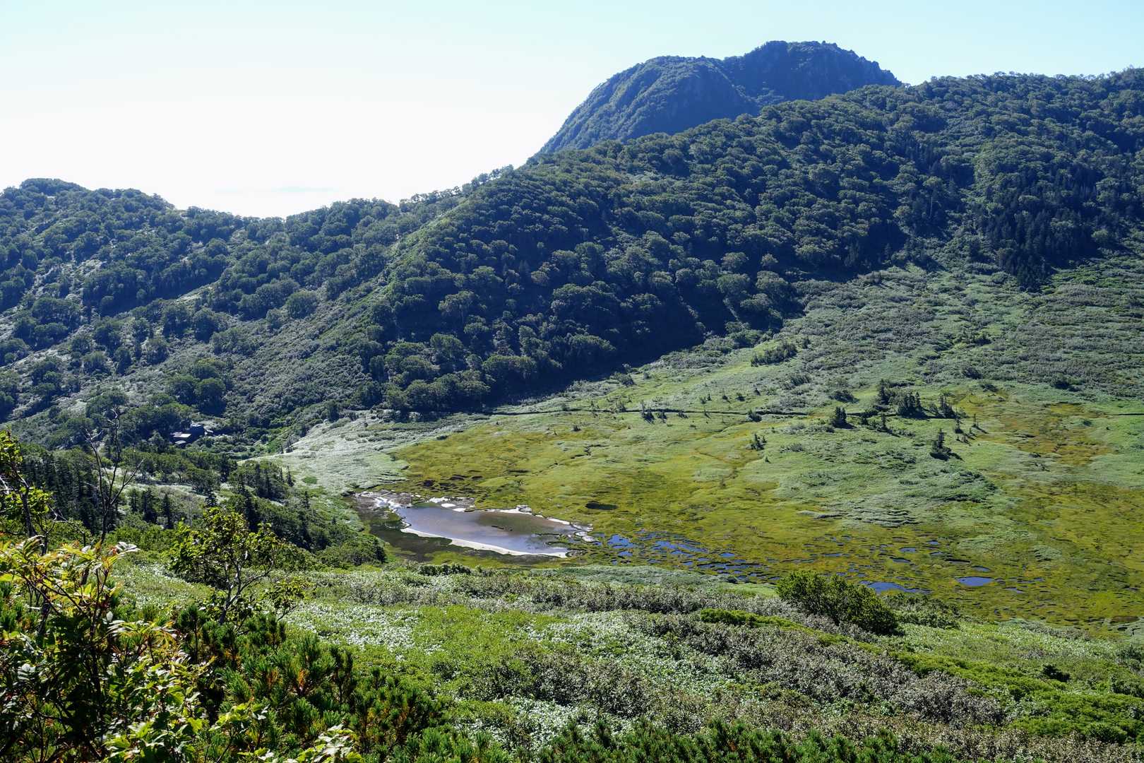 笹ヶ峰-火打山-茶臼山-大倉乗越-妙高山 周回コースの写真