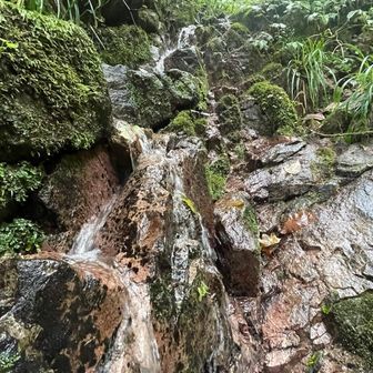 とても冷たい湧き水