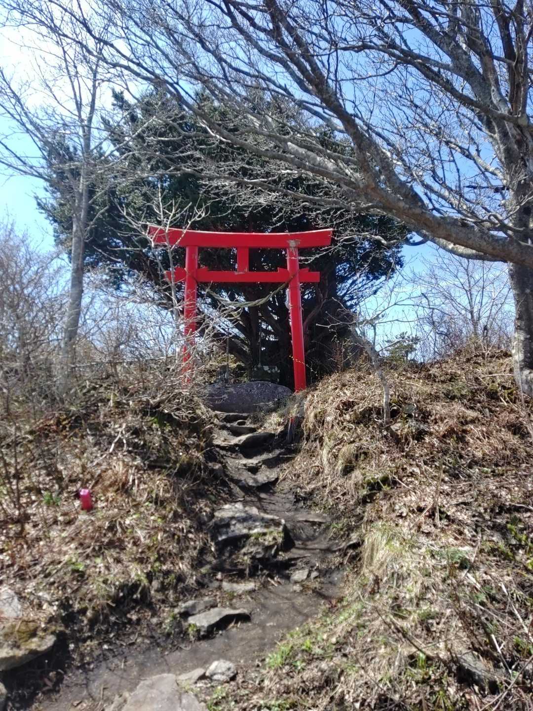 大びらき-階上岳-南岳 往復コースの写真