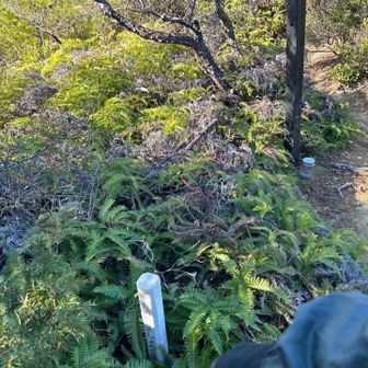 千石山　山頂！