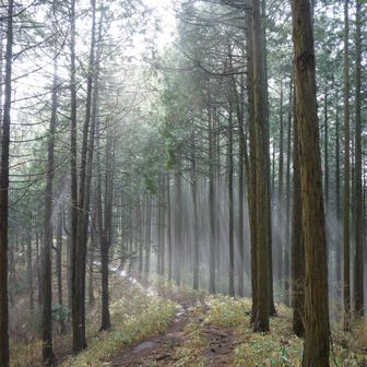 道が輝いてるぜ