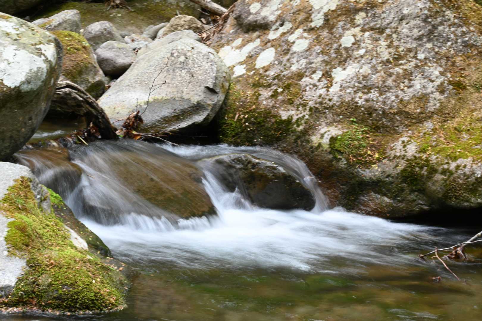 氾濫原の水流