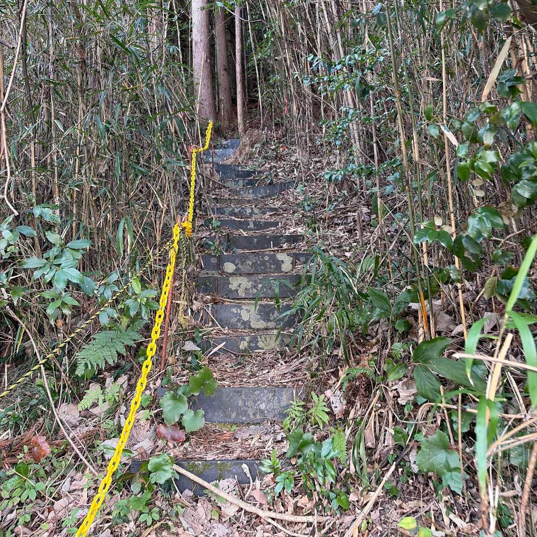 矢倉山 往復コースの写真