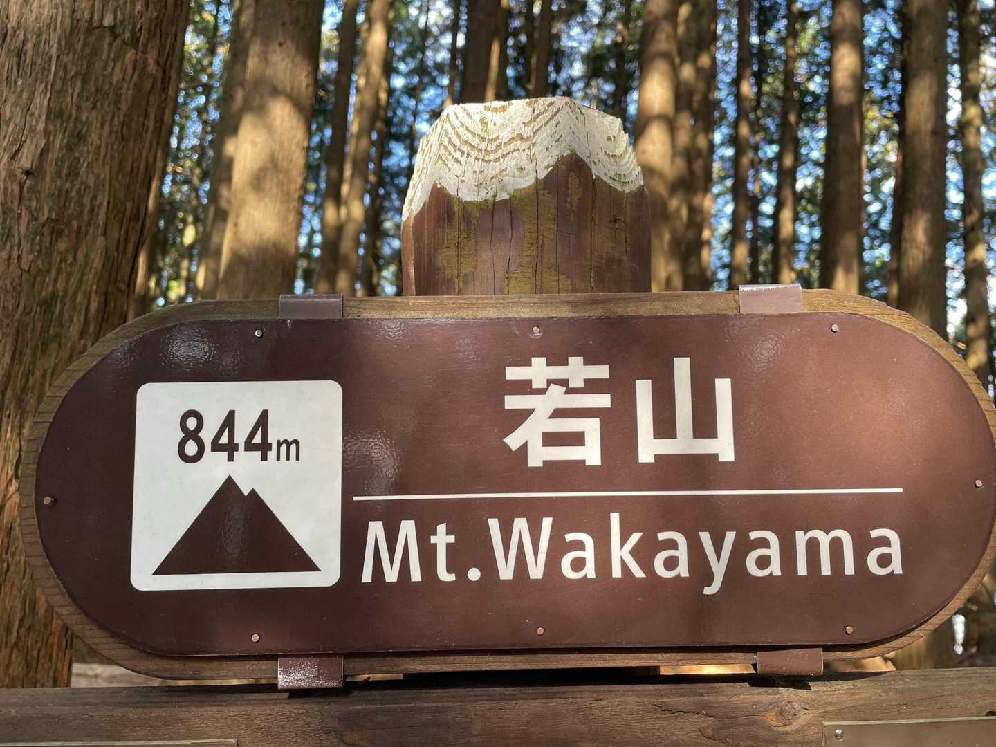 若山に到着🙌