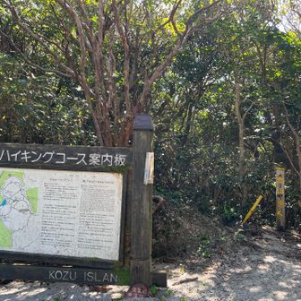 白島登山道6合目です