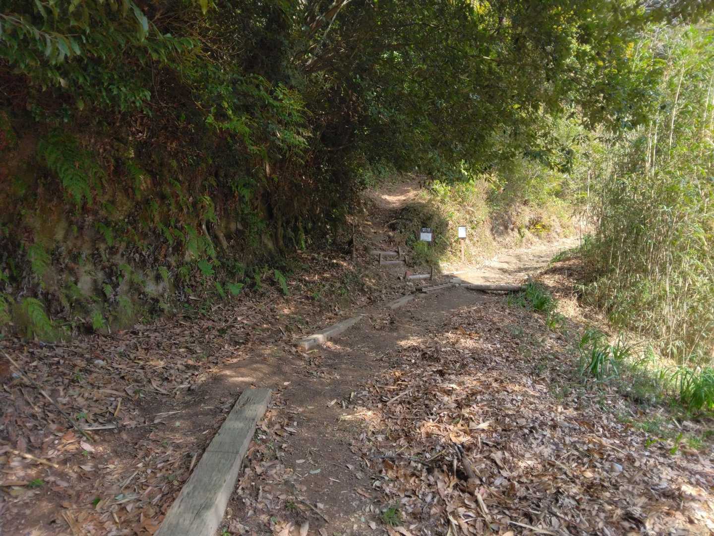 さあ～!(^^)!スタート🚶
