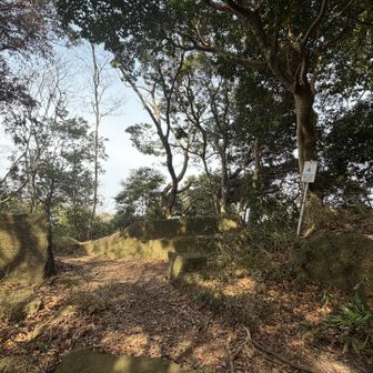 グレーピークのこんぴら山をとりに道をはずれます。すっごい急傾斜をズルズルしながら登っていくと山頂ゲットです✨✨