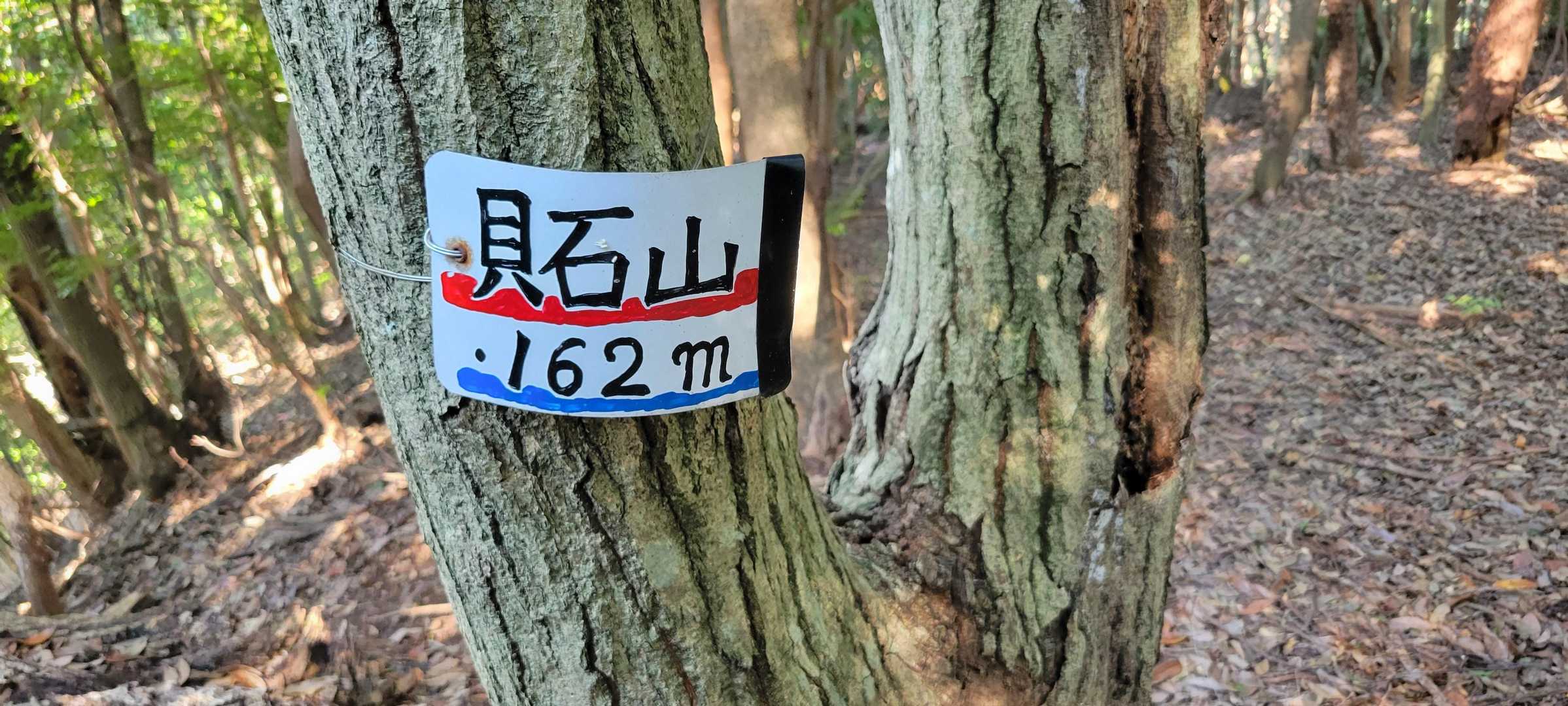 何とか山頂。