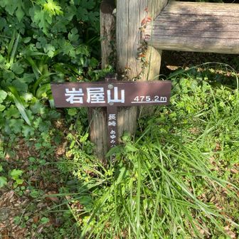 ついで感たっぷりな山頂道標