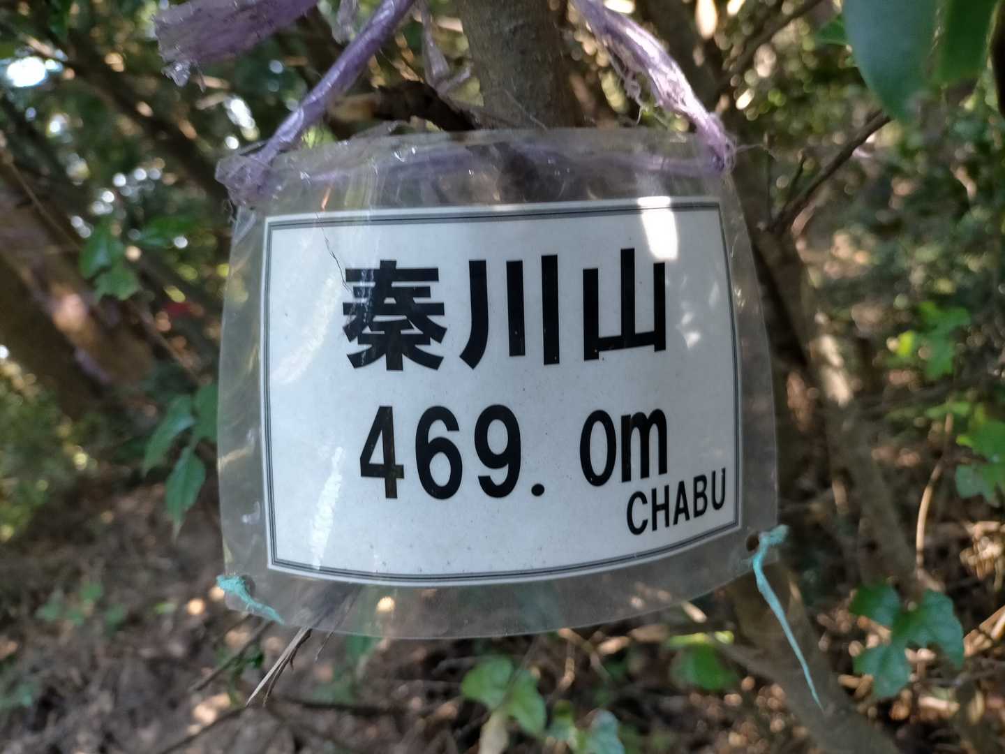 もう一つ山頂銘板