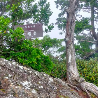 七曜岳頂上。
