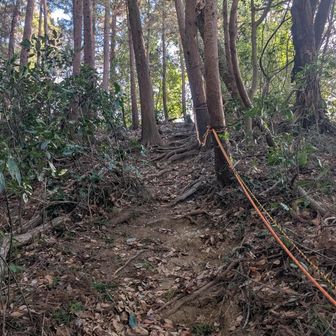 ところどころにロープが設置された急登があります