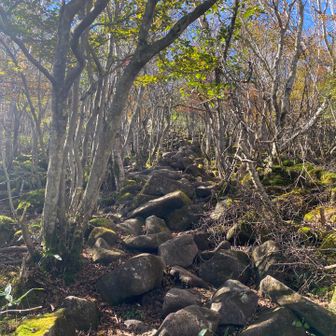 ゴツゴツした岩場の登山道　結構滑ります