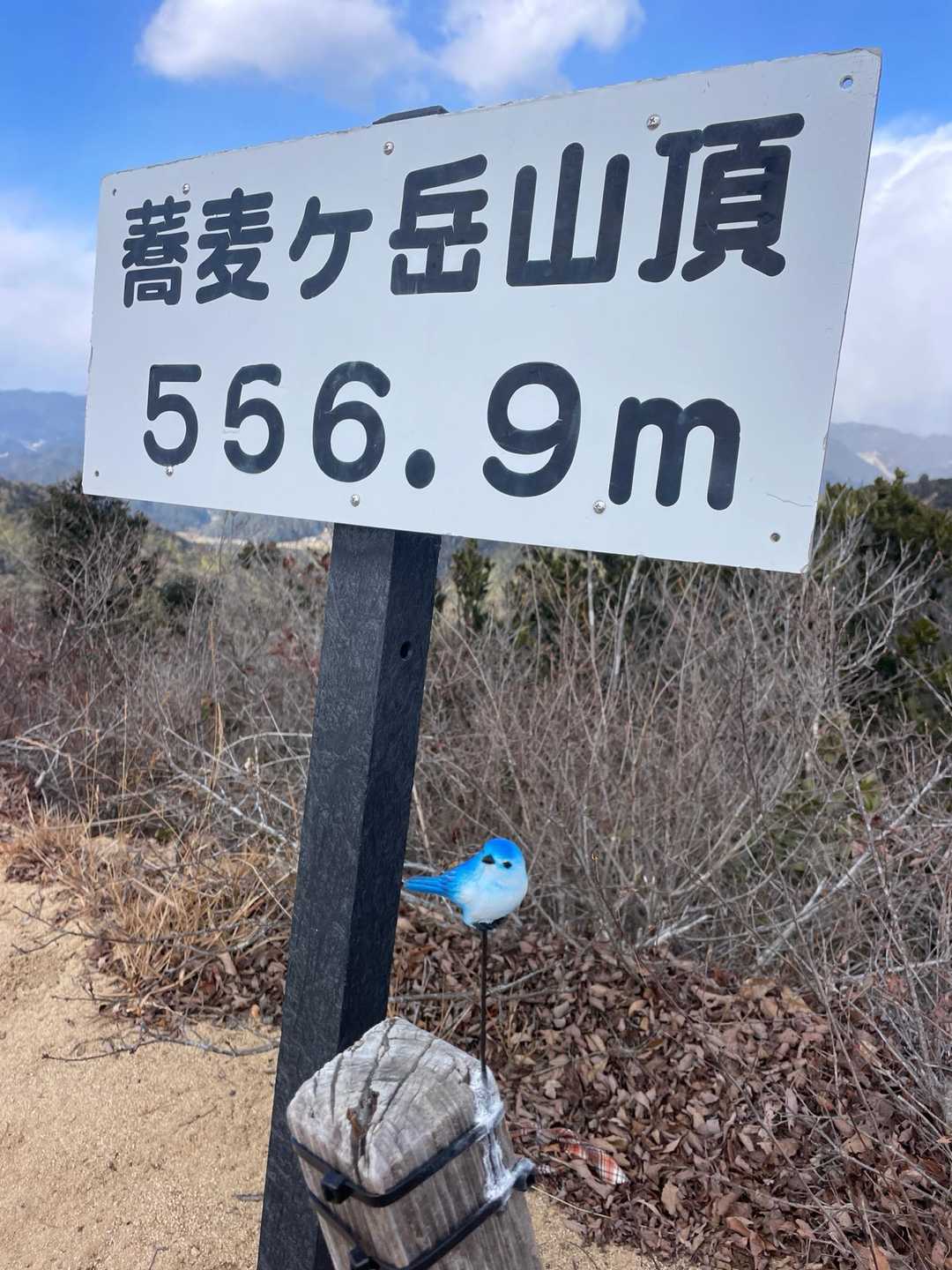 小麦ヶ岳-蕎麦ヶ岳 往復コースの写真