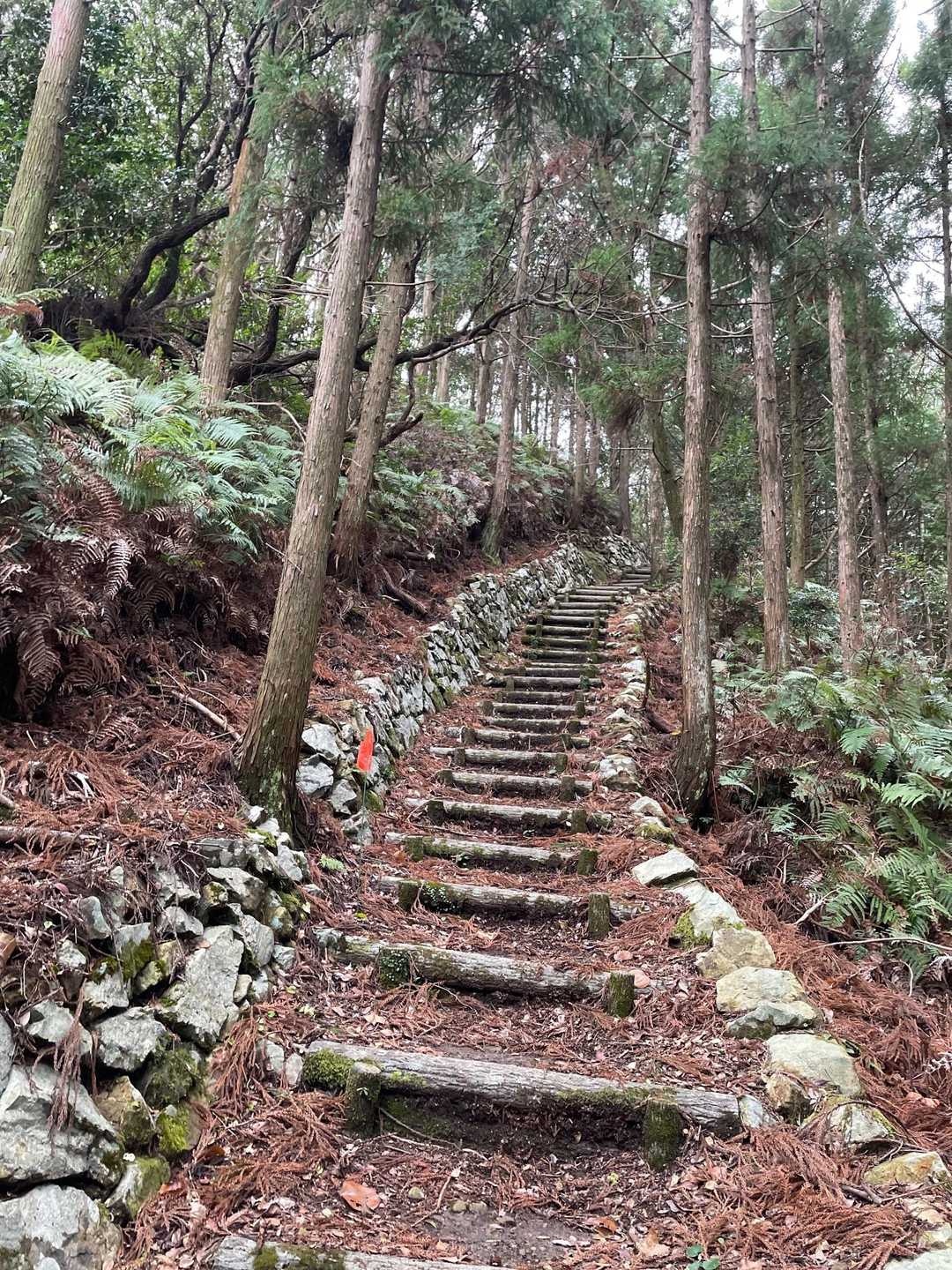 登る〜😆