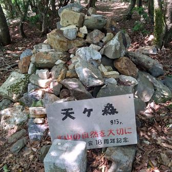 皆子山から人に全然出会わない。独りきりの世界でした。ナッチョに到着。別名天ケ森。此方が普通。