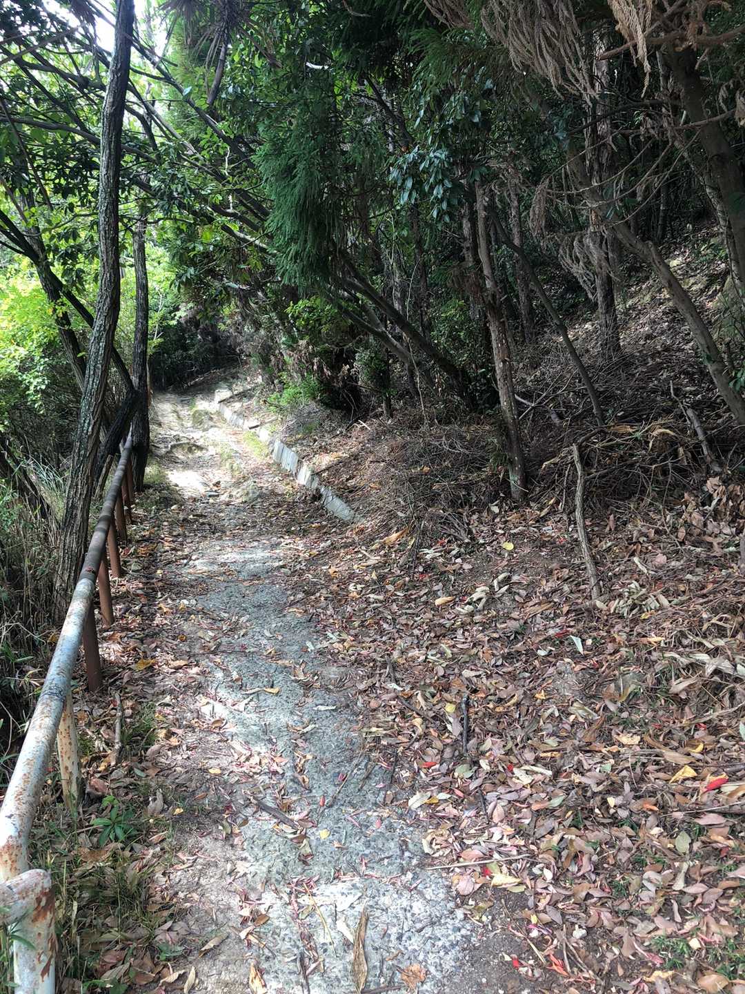 帰ってYAMAPみて驚いた。
2時間20分の行動時間。
もっと歩いてるように思えた😳
こんな感じも初めて。熱中症一歩手前だったのかも。
無事降りて来られました。ありがとうございました😊

