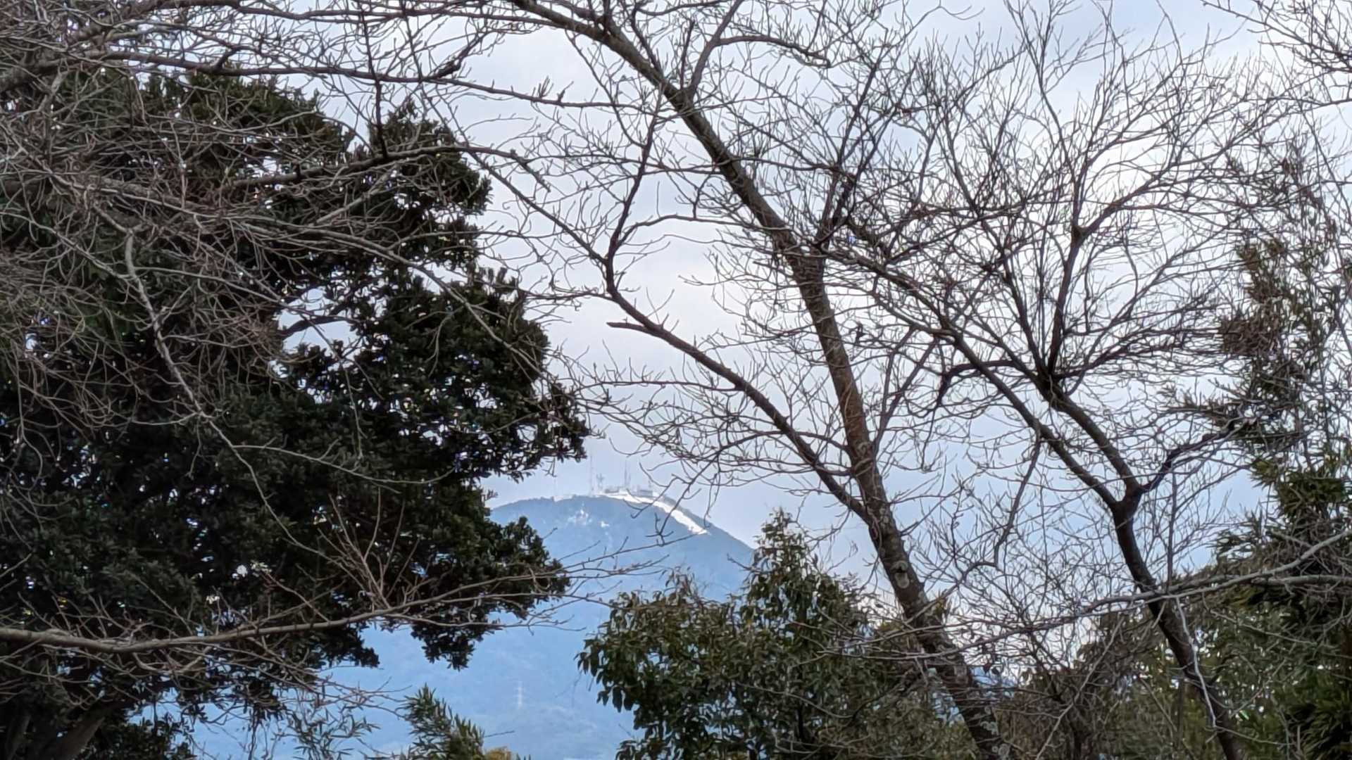 皿倉山の山頂に🏔️