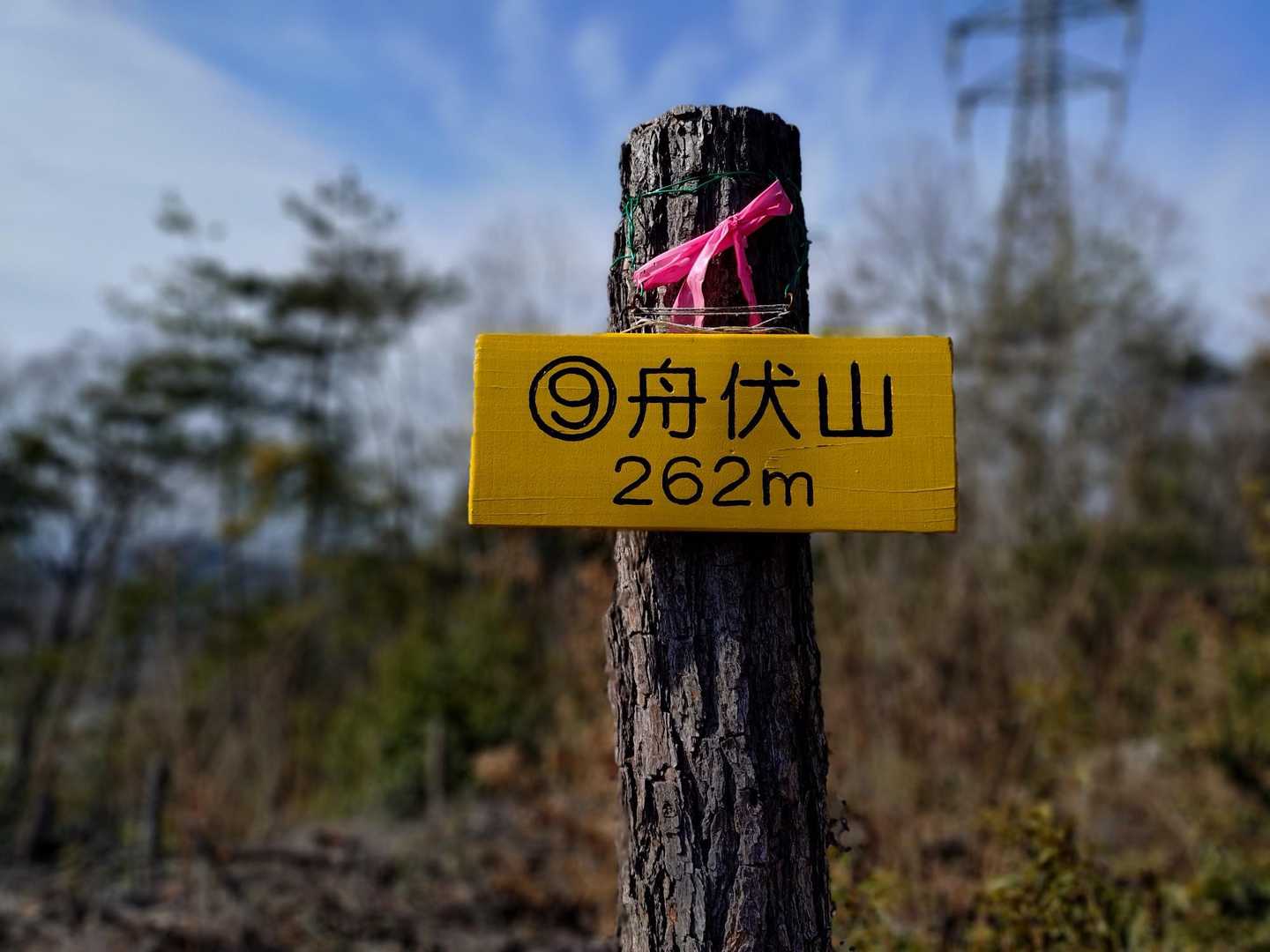 船伏山🙌