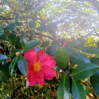 車道に出ました！
そこから車に気をつけながら、亀の井ホテルの玄関まで歩きました😊
今日もほどよく楽しめました✨ありがとうございました🤗