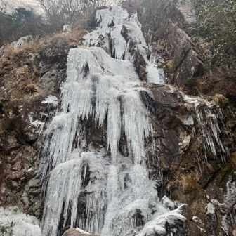 めちゃくちゃ溶け始めてツララ落ちてます💦