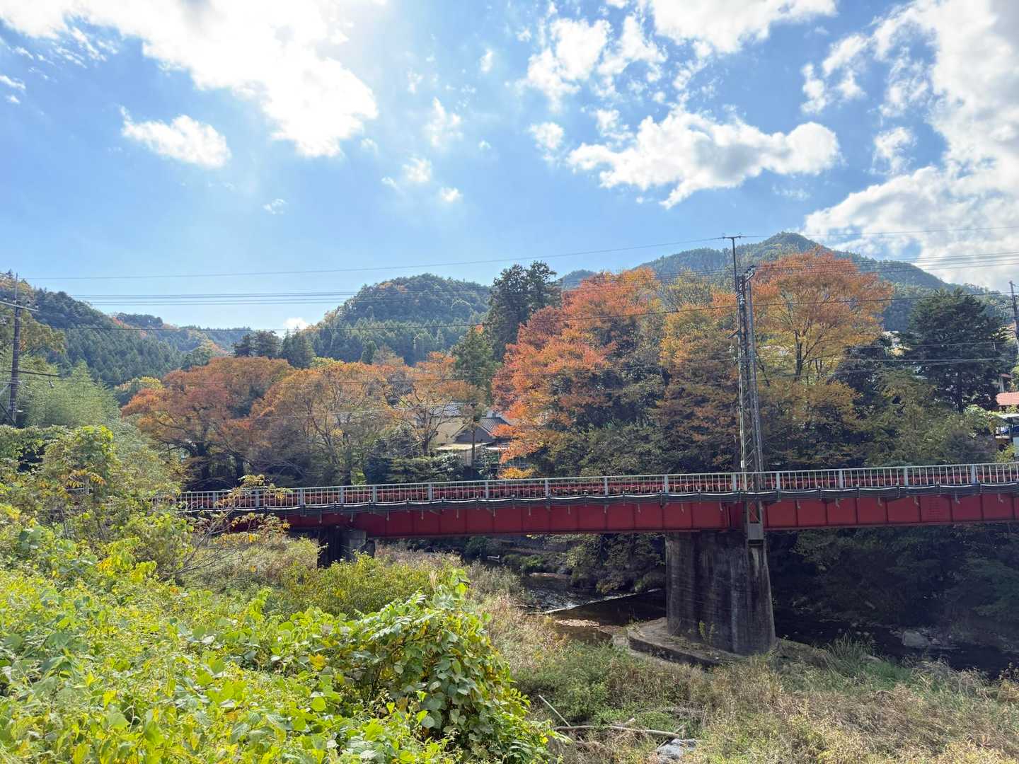 紅葉も進んできましたね