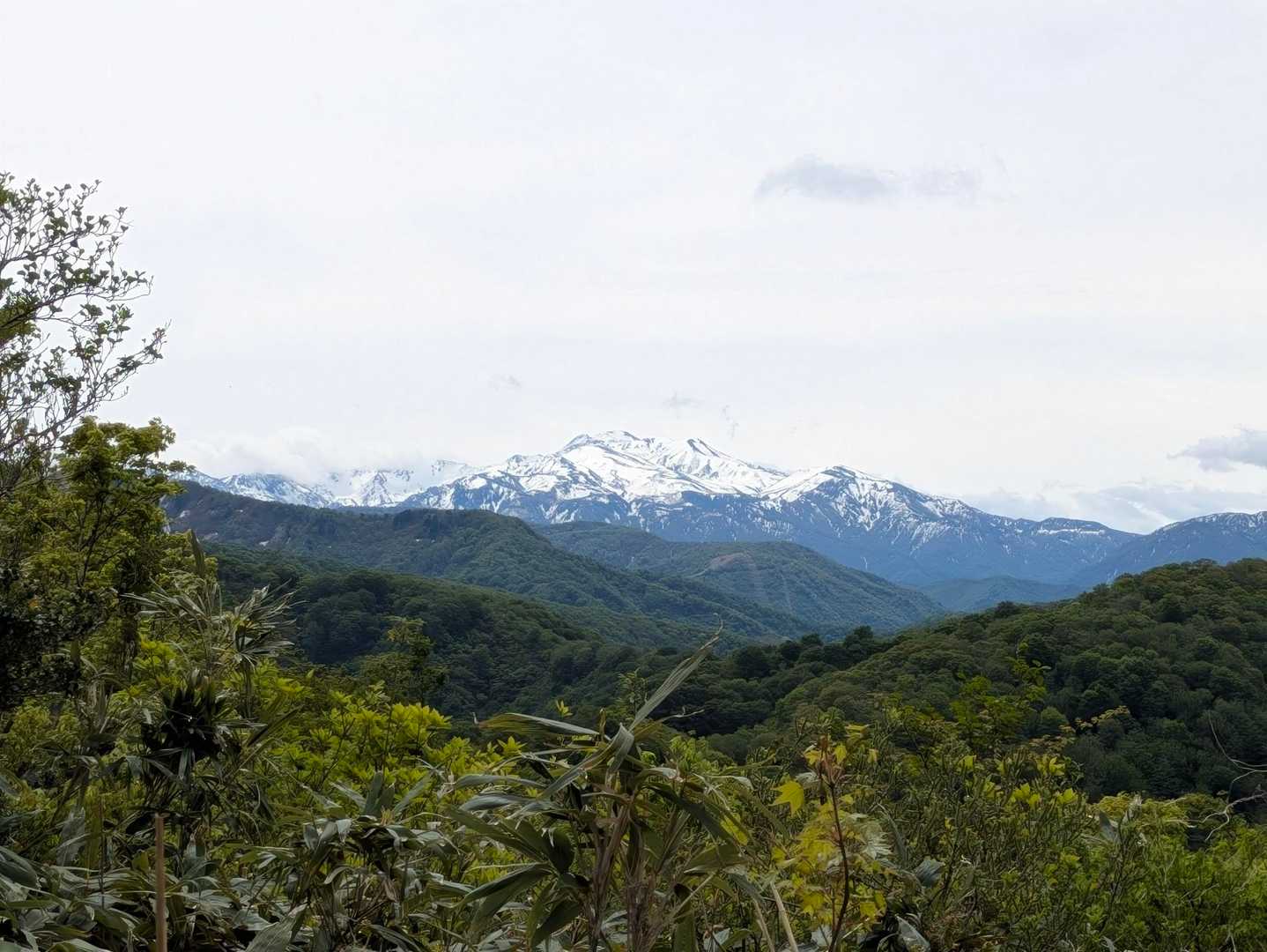 空も白く山も白くイマイチ映えず。ここで山友ちゃんに会えました😊
