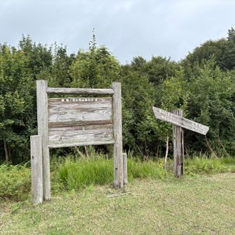 どんよりの雲　雨が降らないだけ良し