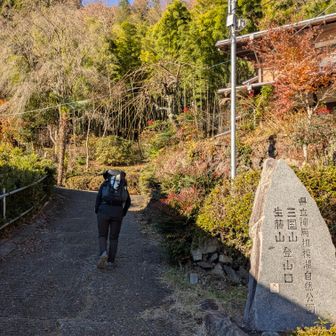 三国山生藤山登山口