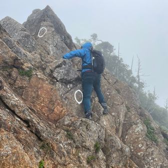 ディリットパパ