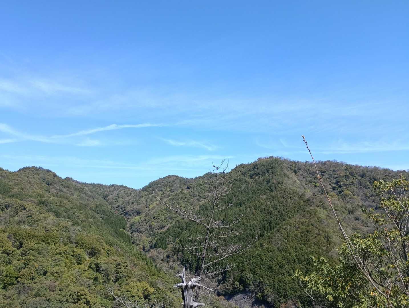 真山-鳥ノ子山-清谷峰 周回コースの写真