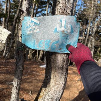 開始3時間20分、金山登頂