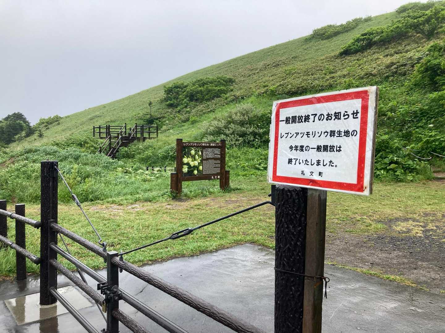 昨日(金曜)で終了😇