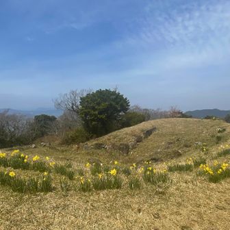 お行儀よく整列🌼